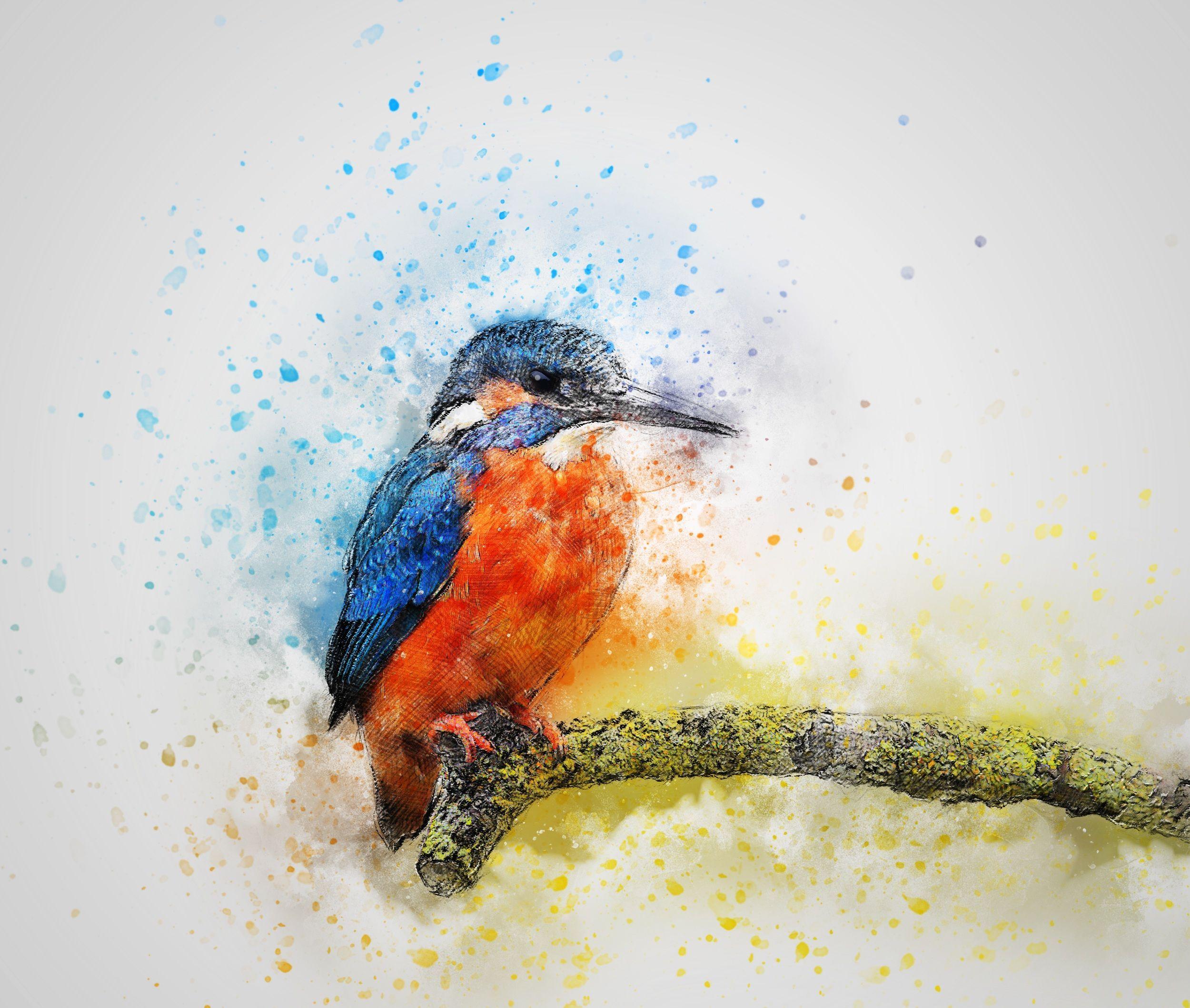 Watercolor Animals Abstract Wallpapers - Top Free Watercolor Animals