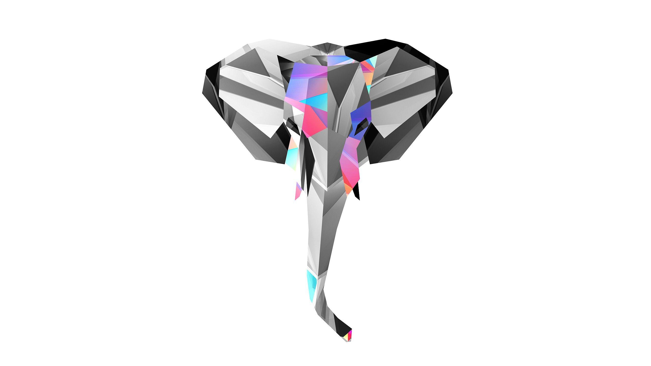 2560x1440 polygon animal wallpaper