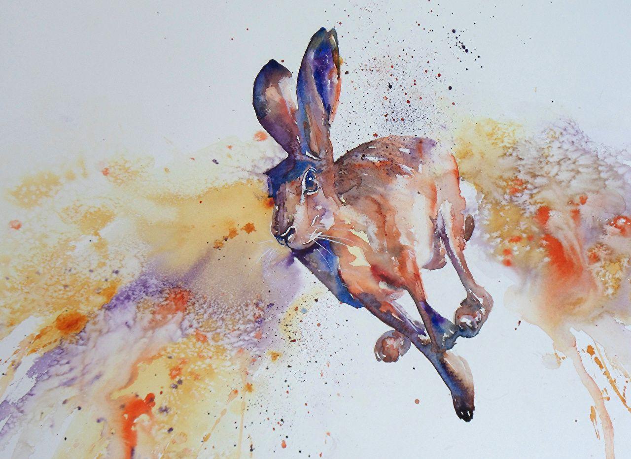 Watercolor Animal Wallpapers - Top Free Watercolor Animal Backgrounds