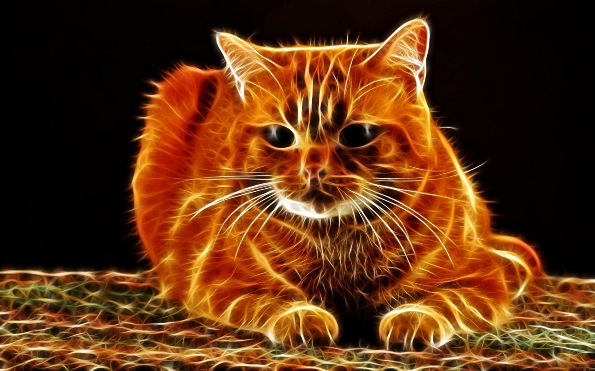 Abstract Cat Wallpapers - Top Free Abstract Cat Backgrounds - WallpaperAccess