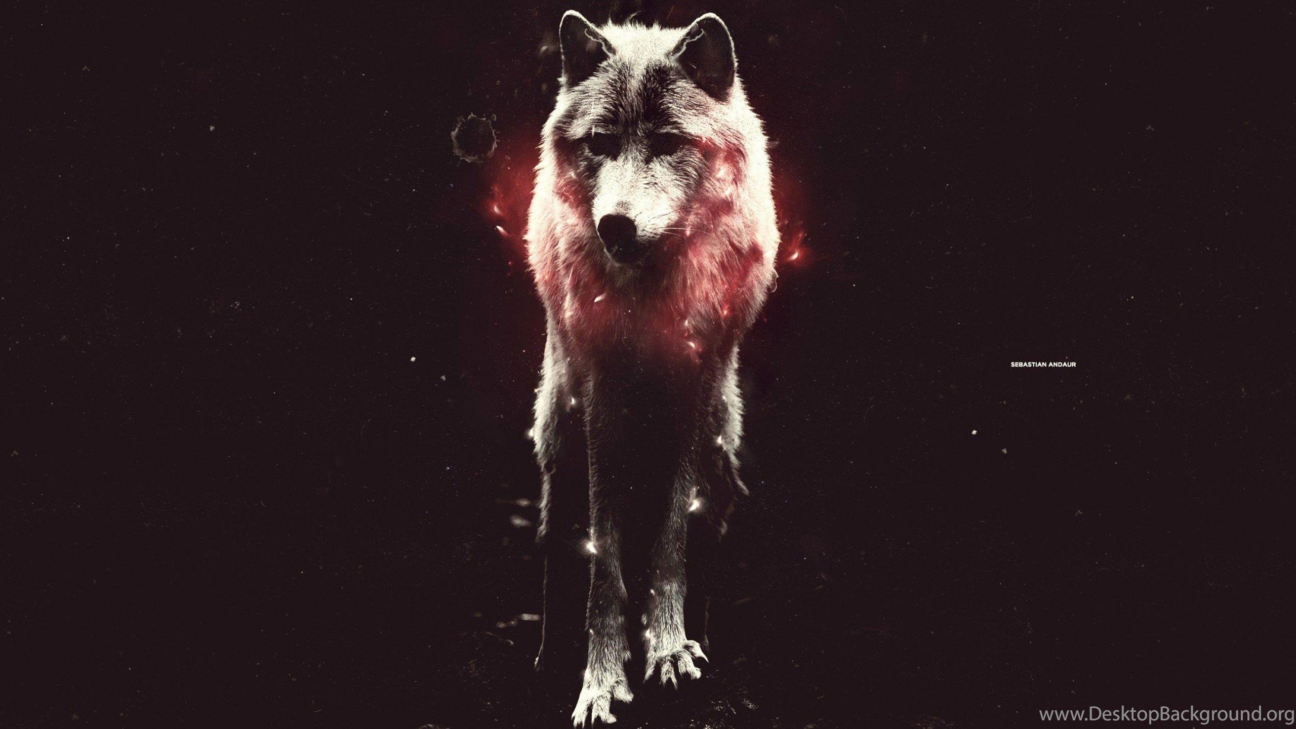 2560x1440 Download Abstract Animals Wallpaper 2808x1872 Desktop