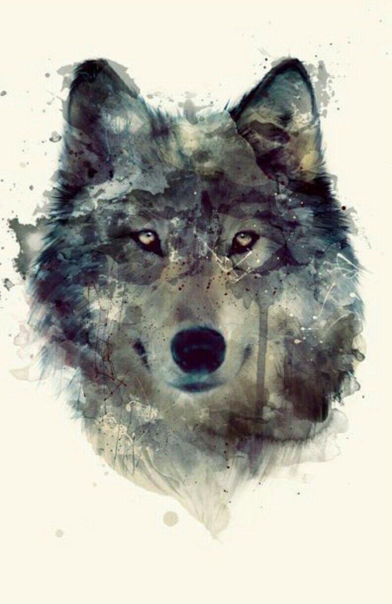 792x1220 image about ANIMAL WATERCOLOR WALLPAPER