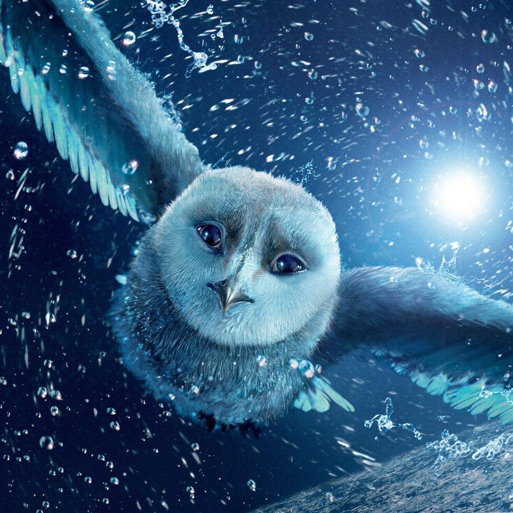 1024x1024 Cool Animal Wallpaper HD