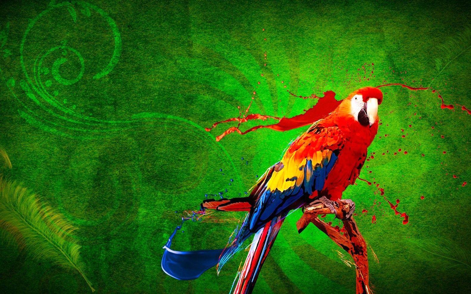 Abstract Bird Wallpapers - Top Free Abstract Bird Backgrounds