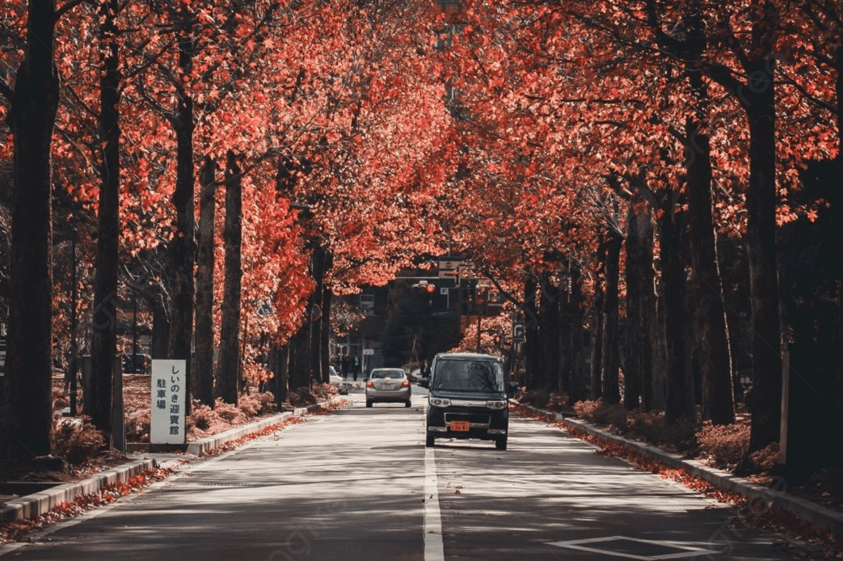 1200x799 Kanazawa Autumn Road Japan Alley Photo
