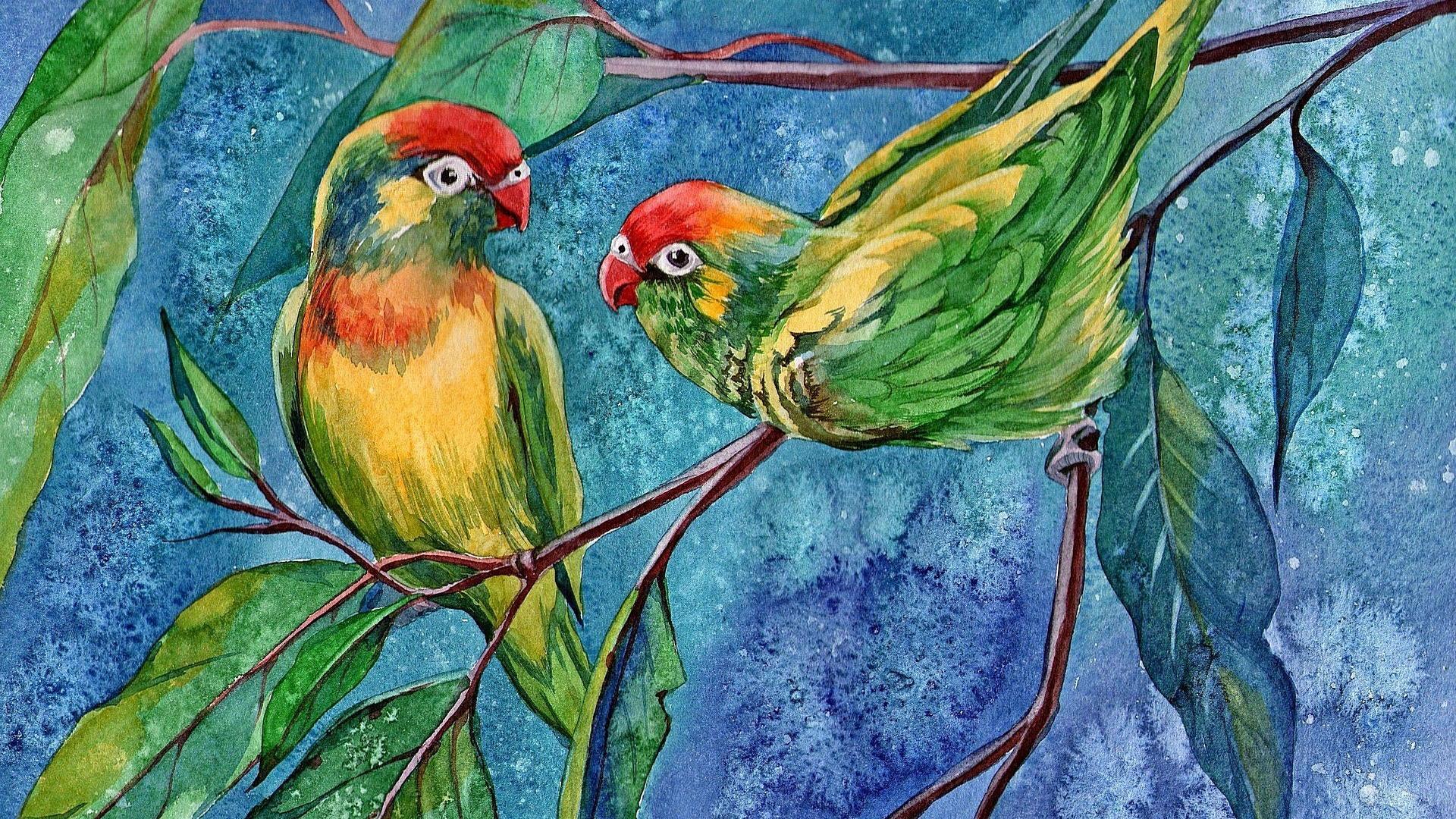 Watercolor Animal Wallpapers - Top Free Watercolor Animal Backgrounds