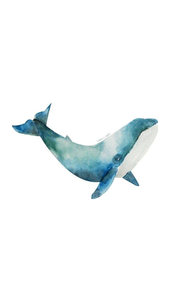 720x1280 Naavocado: Whale Watercolor by Me #illustration #watercolor #whale
