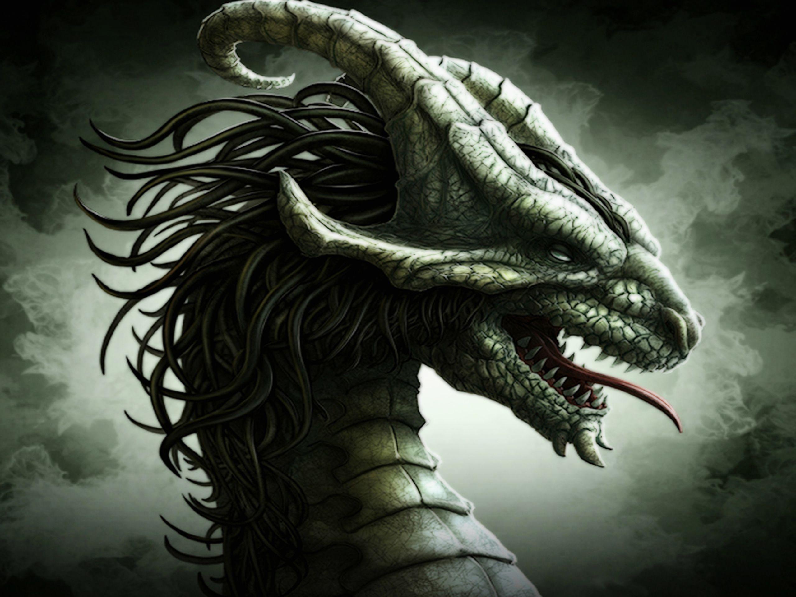 Dragon Face Wallpapers Top Free Dragon Face Backgrounds WallpaperAccess Dragon Face Wallpapers Top Free Dragon Face Backgrounds WallpaperAccess