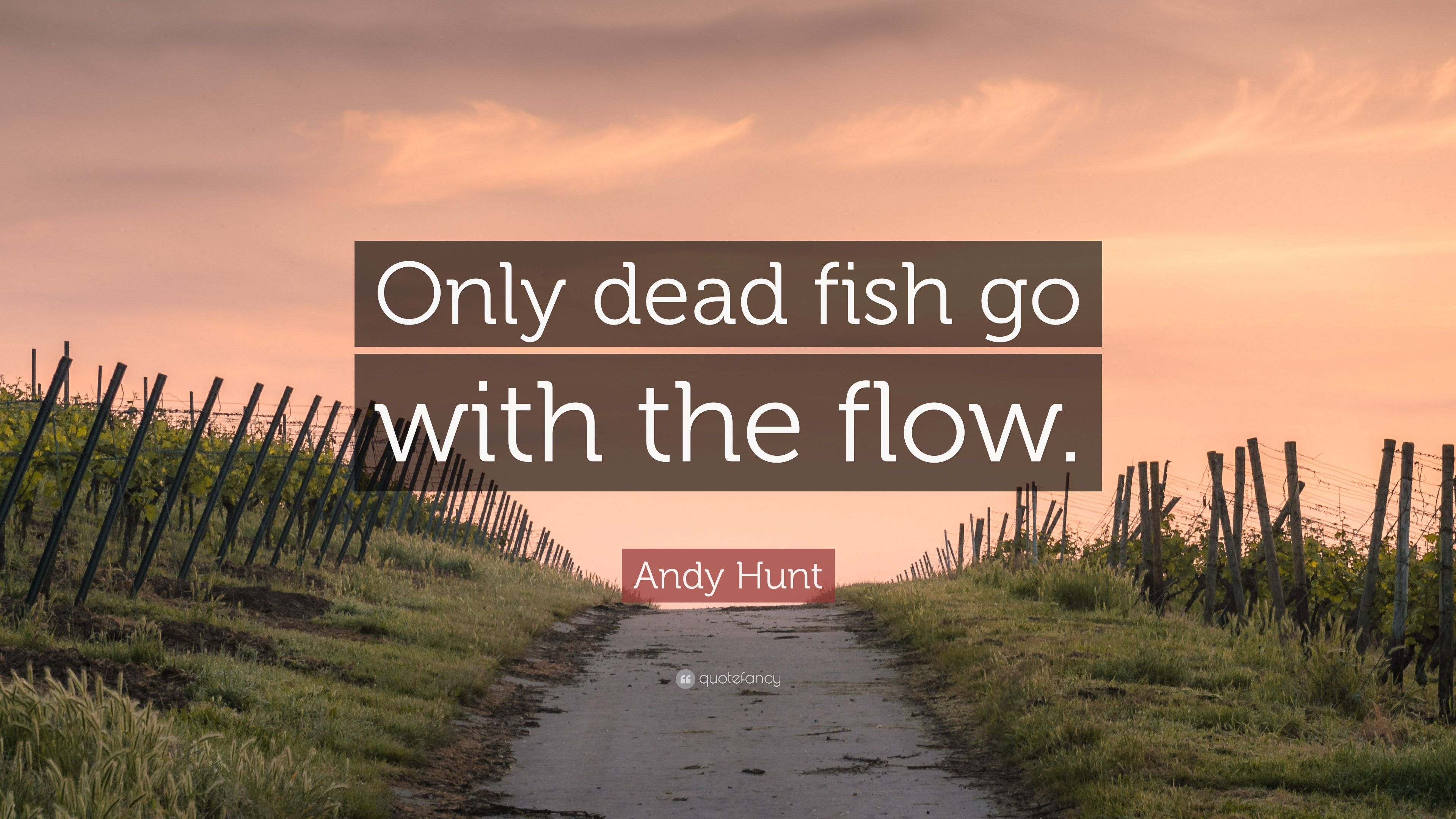 3840x2160 Andy Hunt Quote: “Only dead fish go