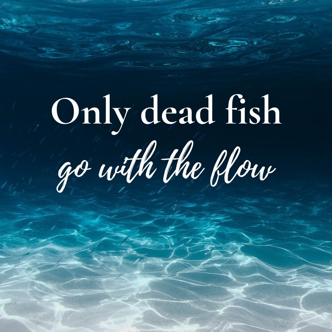 Go With The Flow Wallpapers - Top Free Go With The Flow Backgrounds ...