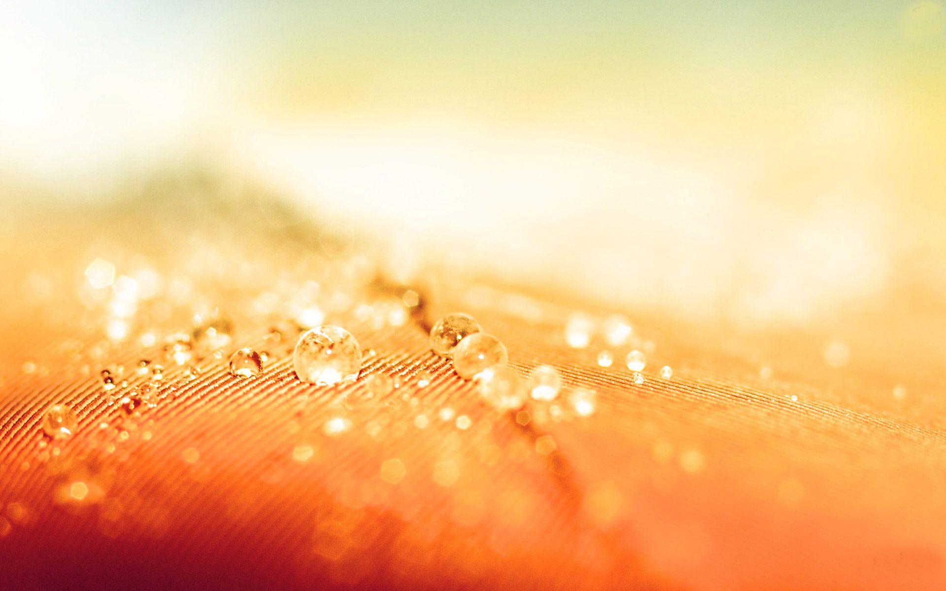1920x1200 Orange Abstract HD
