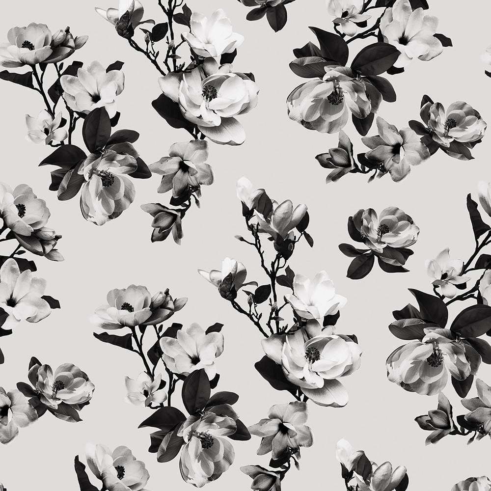 Modern Black and White Wallpapers - Top Free Modern Black and White