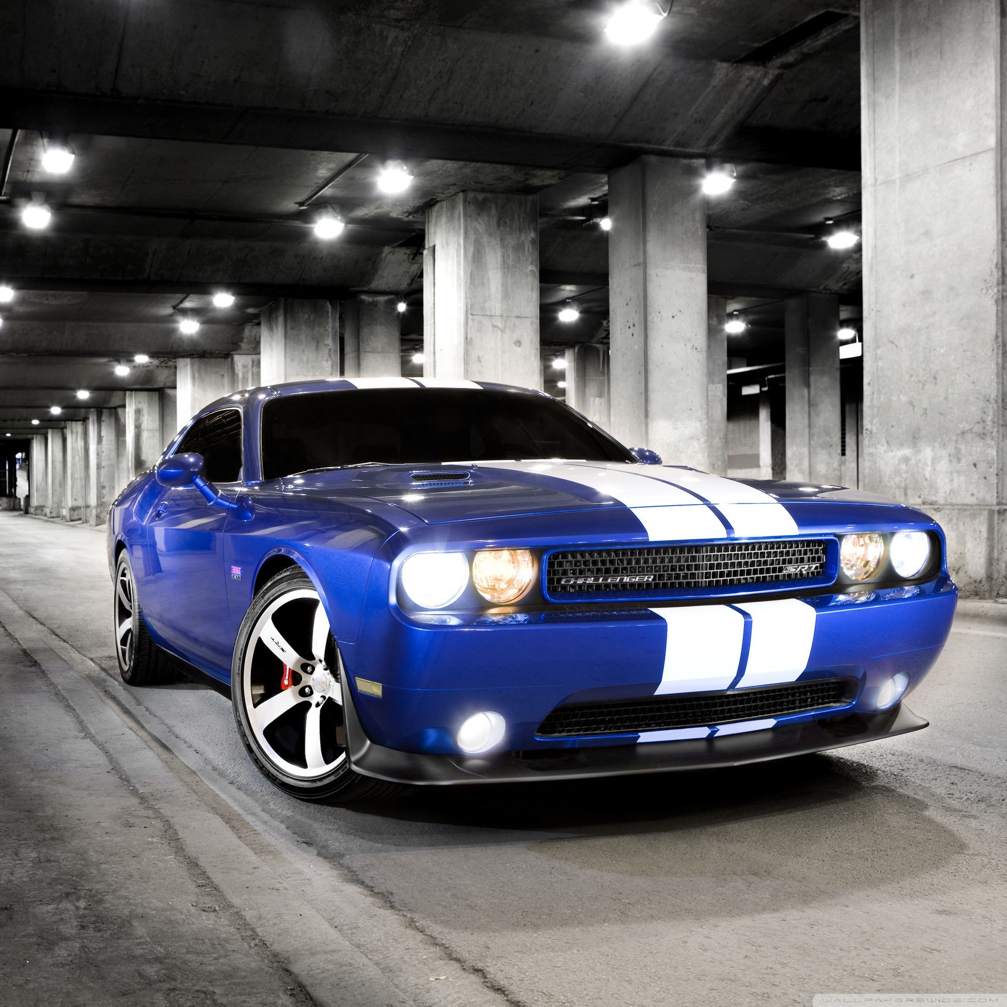 2048x2048 Dodge Challenger SRT Photo Ultra HD