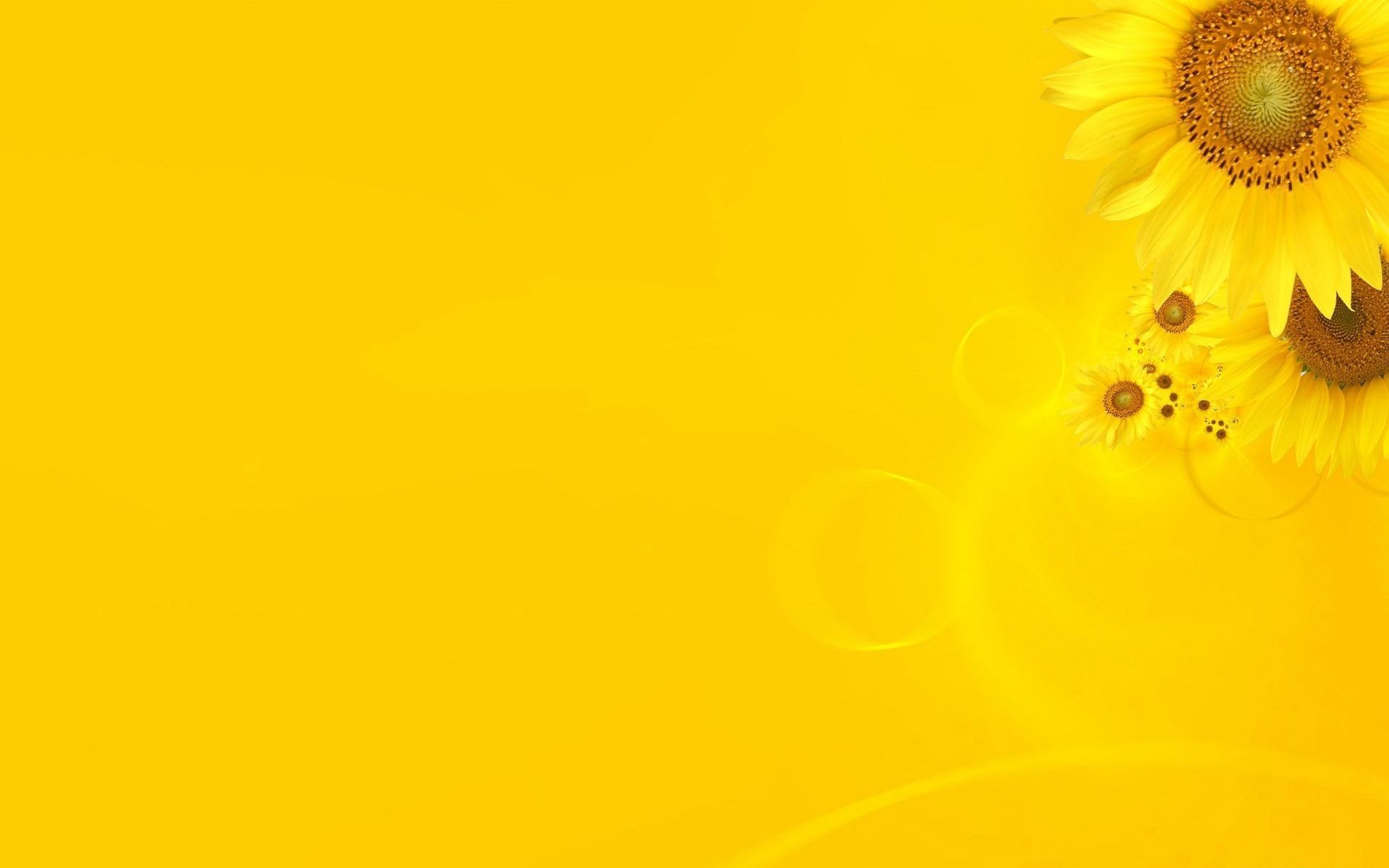 1920x1200 Yellow Theme Wallpaper