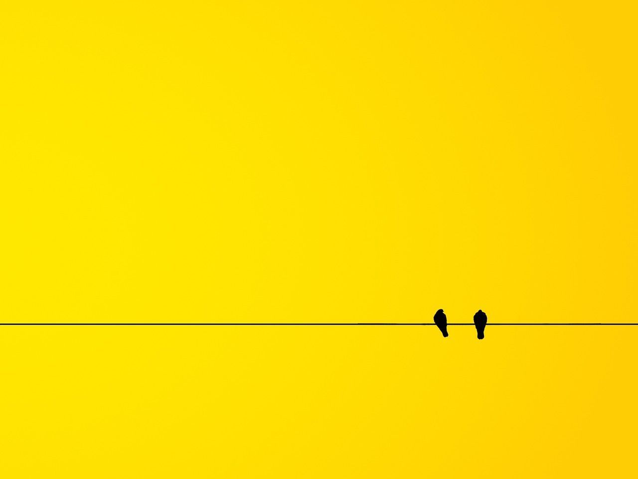 1280x960 Birds Minimalism Yellow