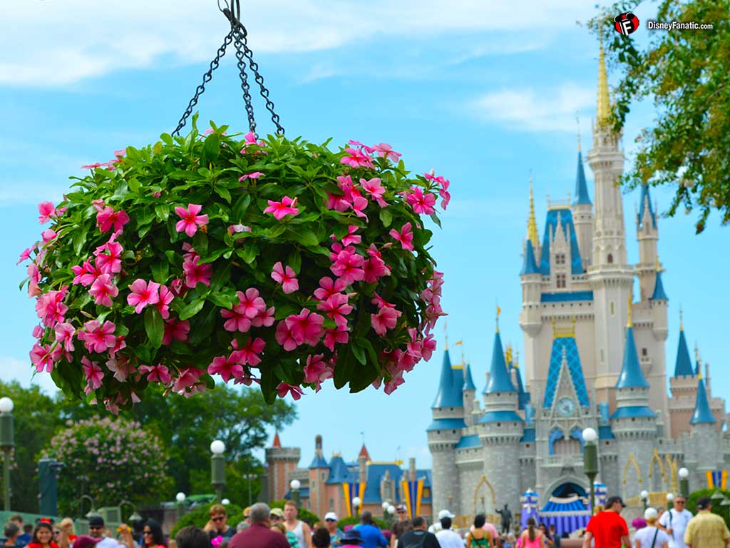 1024x768 Walt Disney World Resort Wallpaper for Desktop, Laptop