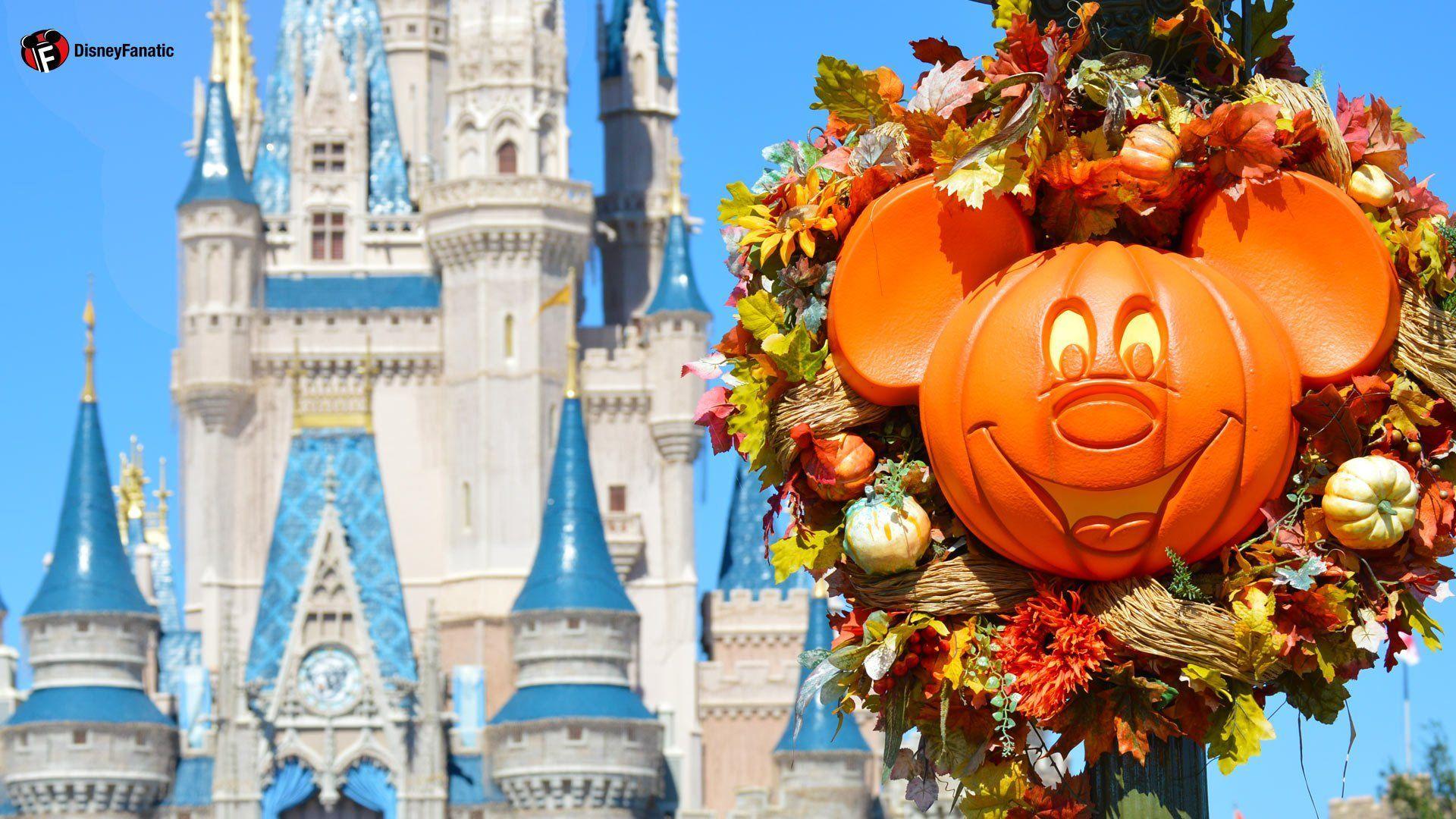 1920x1080 Walt Disney World Resort Wallpaper for Desktop, Laptop