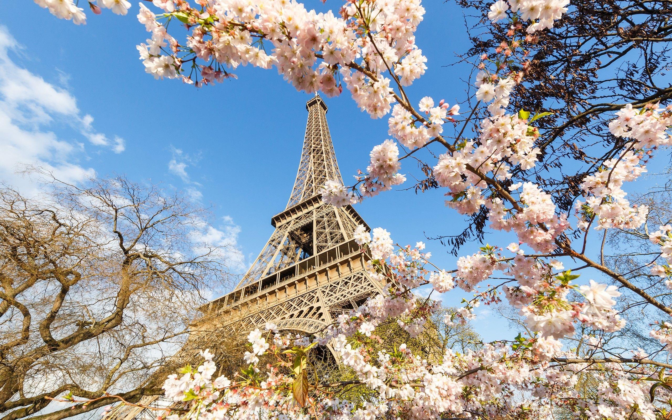 Hình nền máy tính để bàn tháp Eiffel 2560x1600