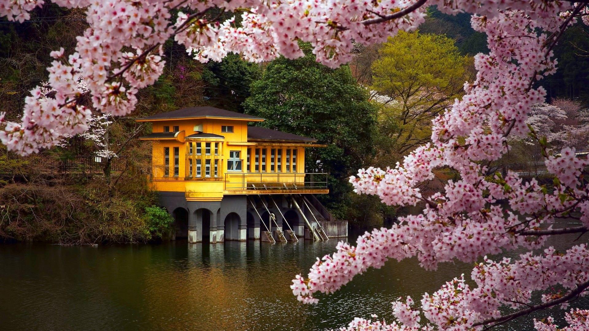 1920x1080 Beautiful Spring Desktop Background HD Cute Wallpaper