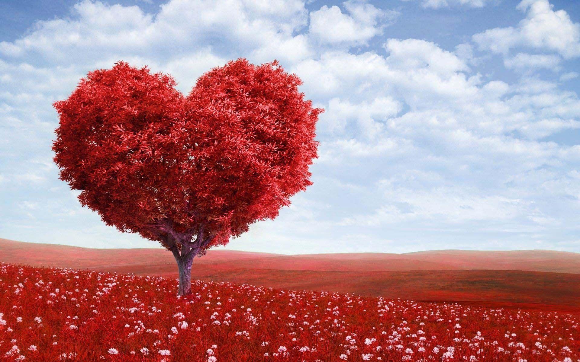 1920x1200 Download Valentine Heart HD Wallpaper of Love hdwallpaper