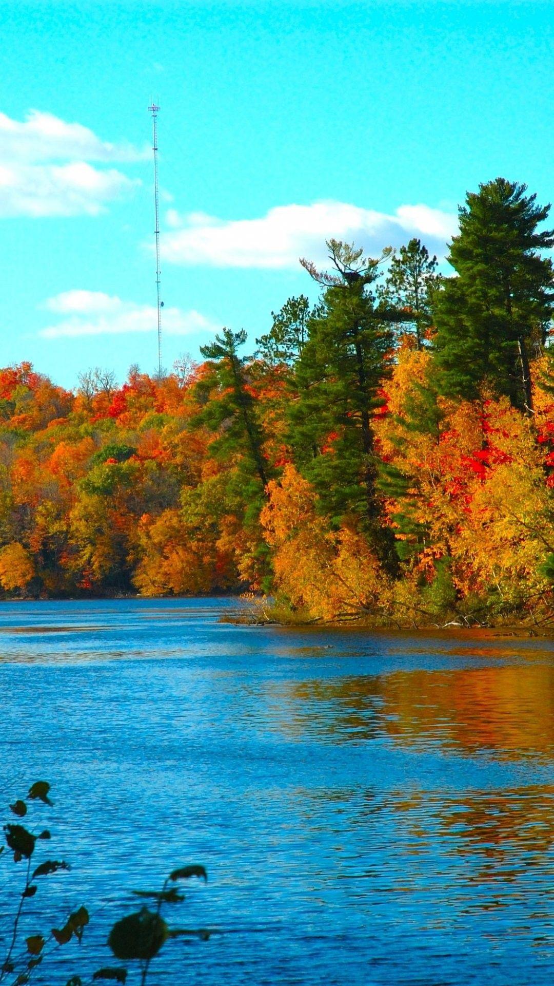 1080x1920 IPhone 6 Autumn