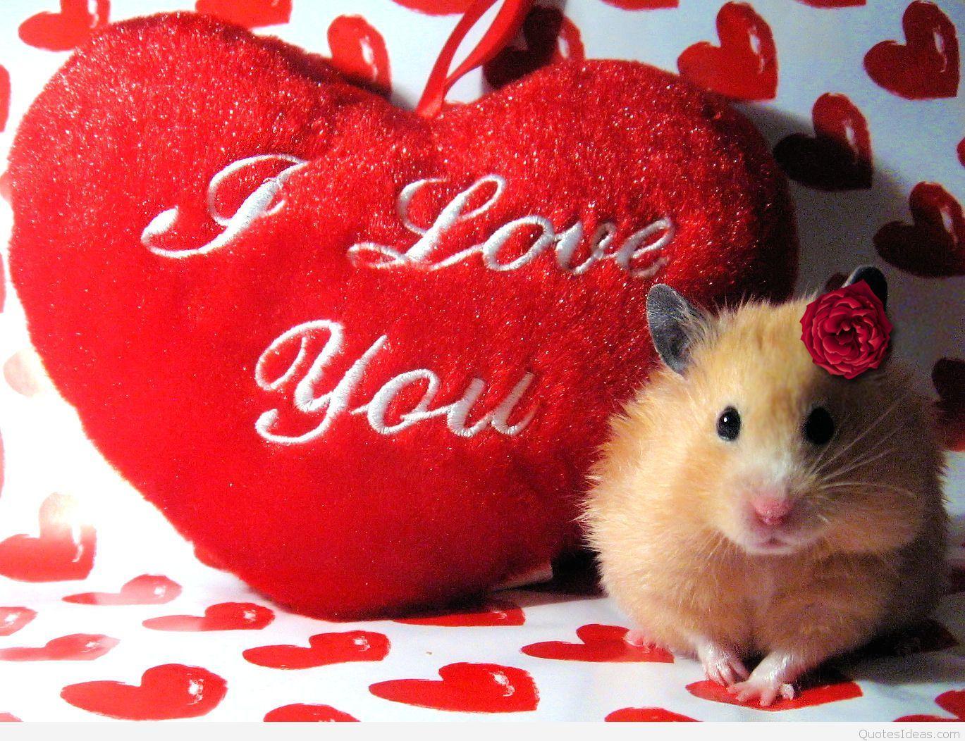 1369x1052 Happy Valentine's day love wallpaper HD, pics, photo 2016