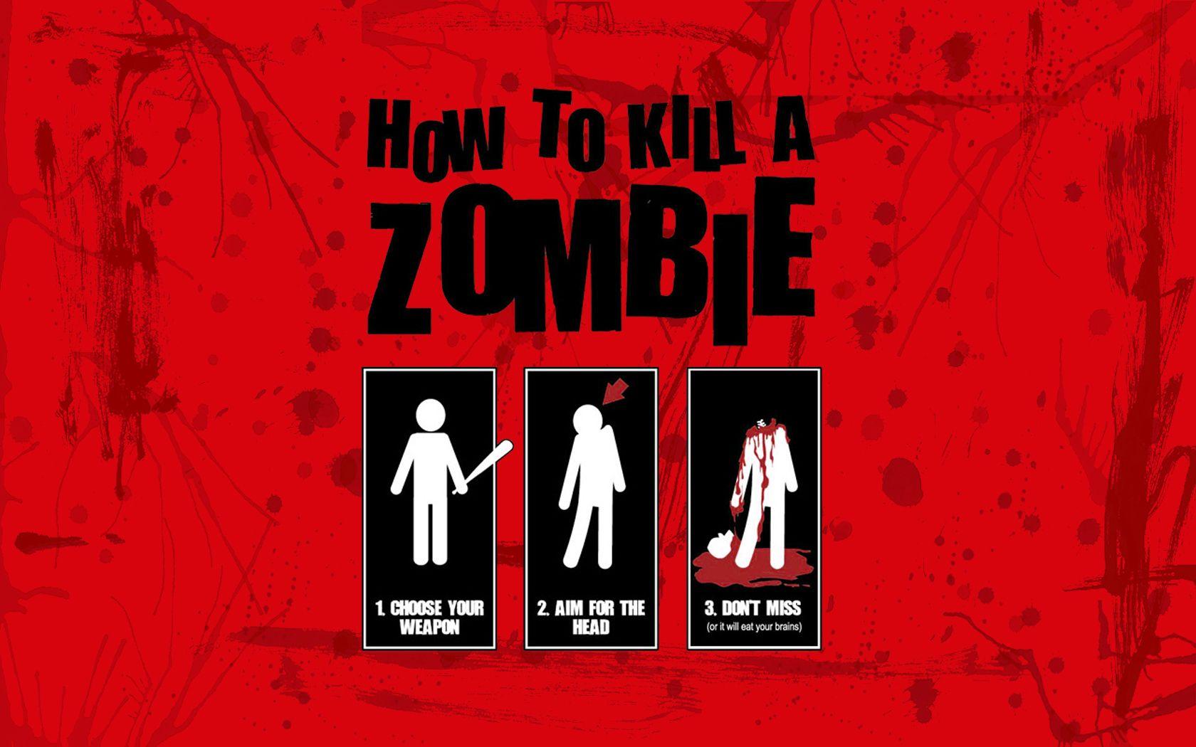 1680x1050 How to Kill a Zombie Minecraft
