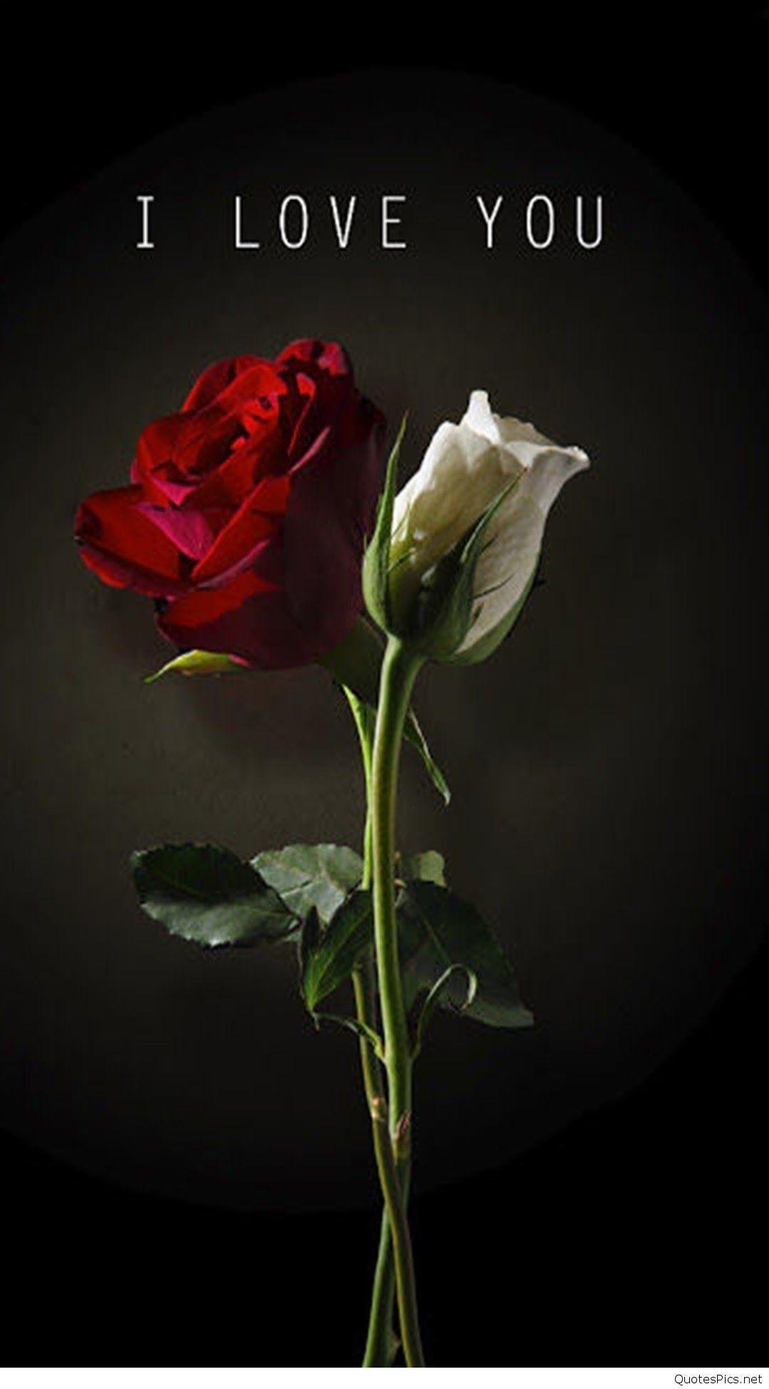 Cute I Love You Wallpapers Top