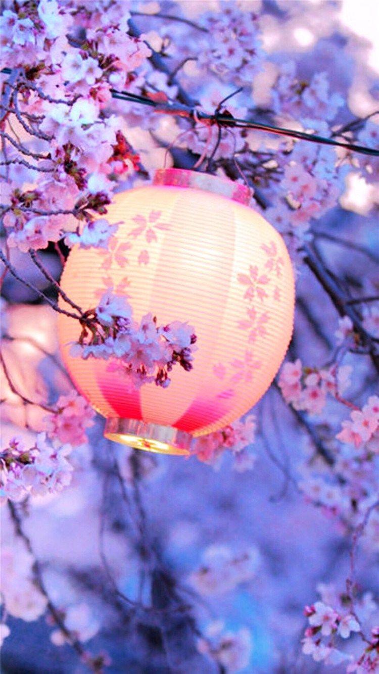 Mobile Wallpaper For Romantic Cherry Blossom Season Images Free Download on  Lovepik | 400480376