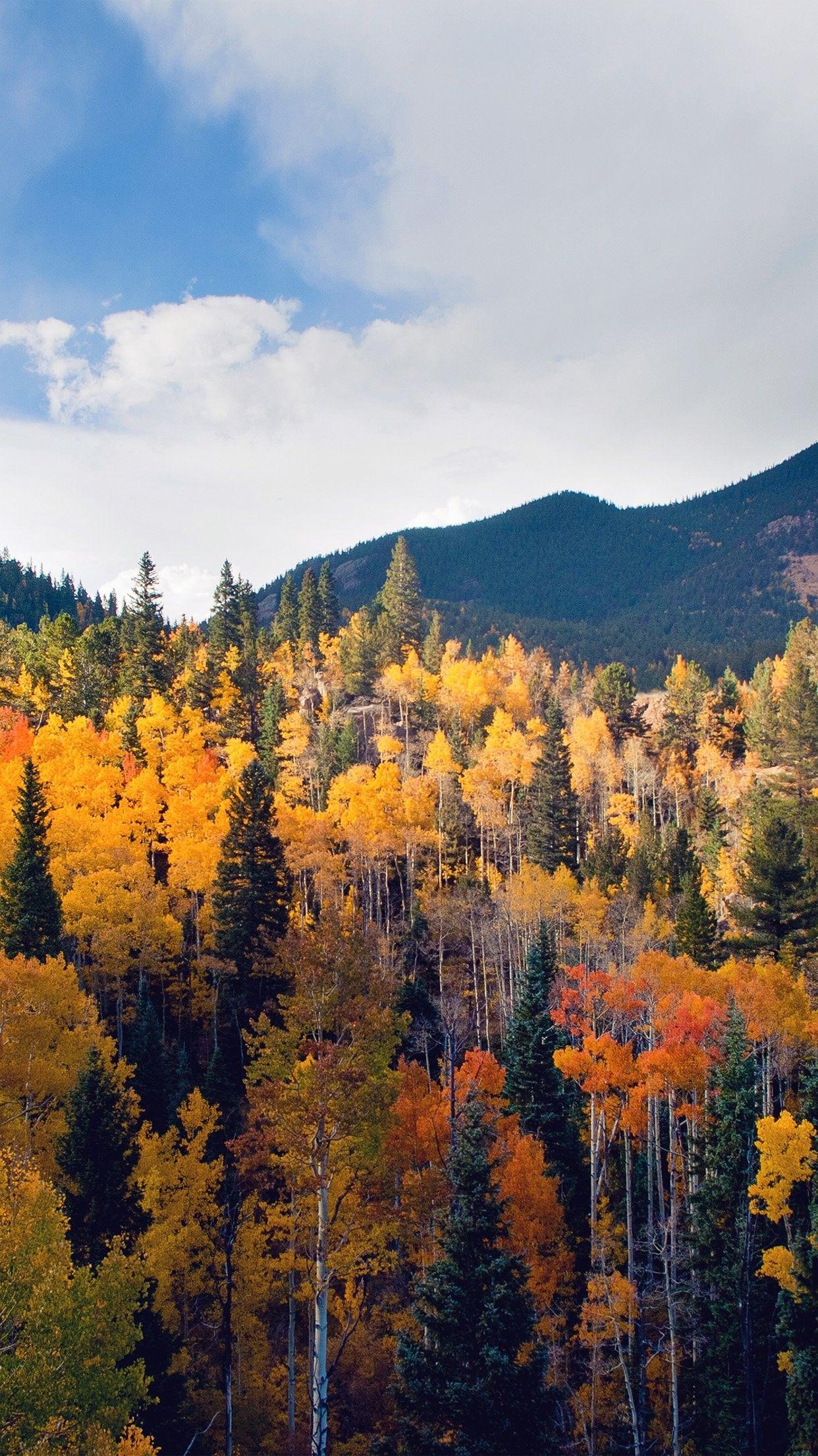 1242x2208 IPhone 6 Autumn