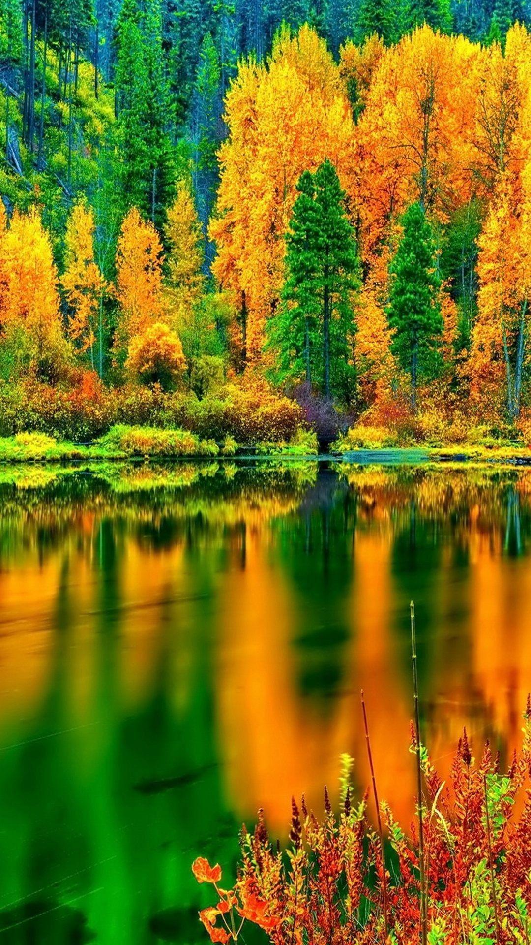 1080x1920 IPhone 6 Autumn