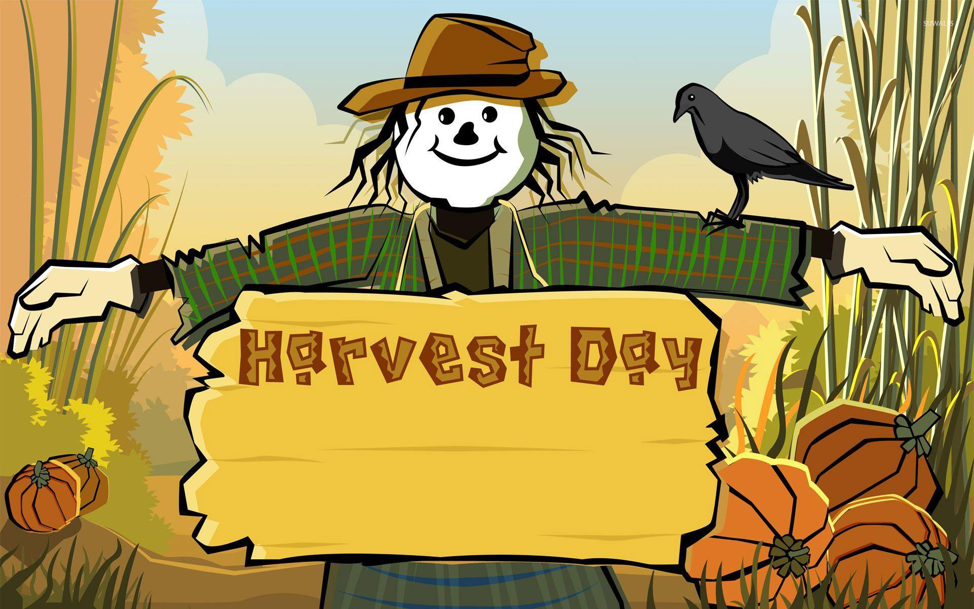 1920x1200 Harvest day wallpaper wallpaper