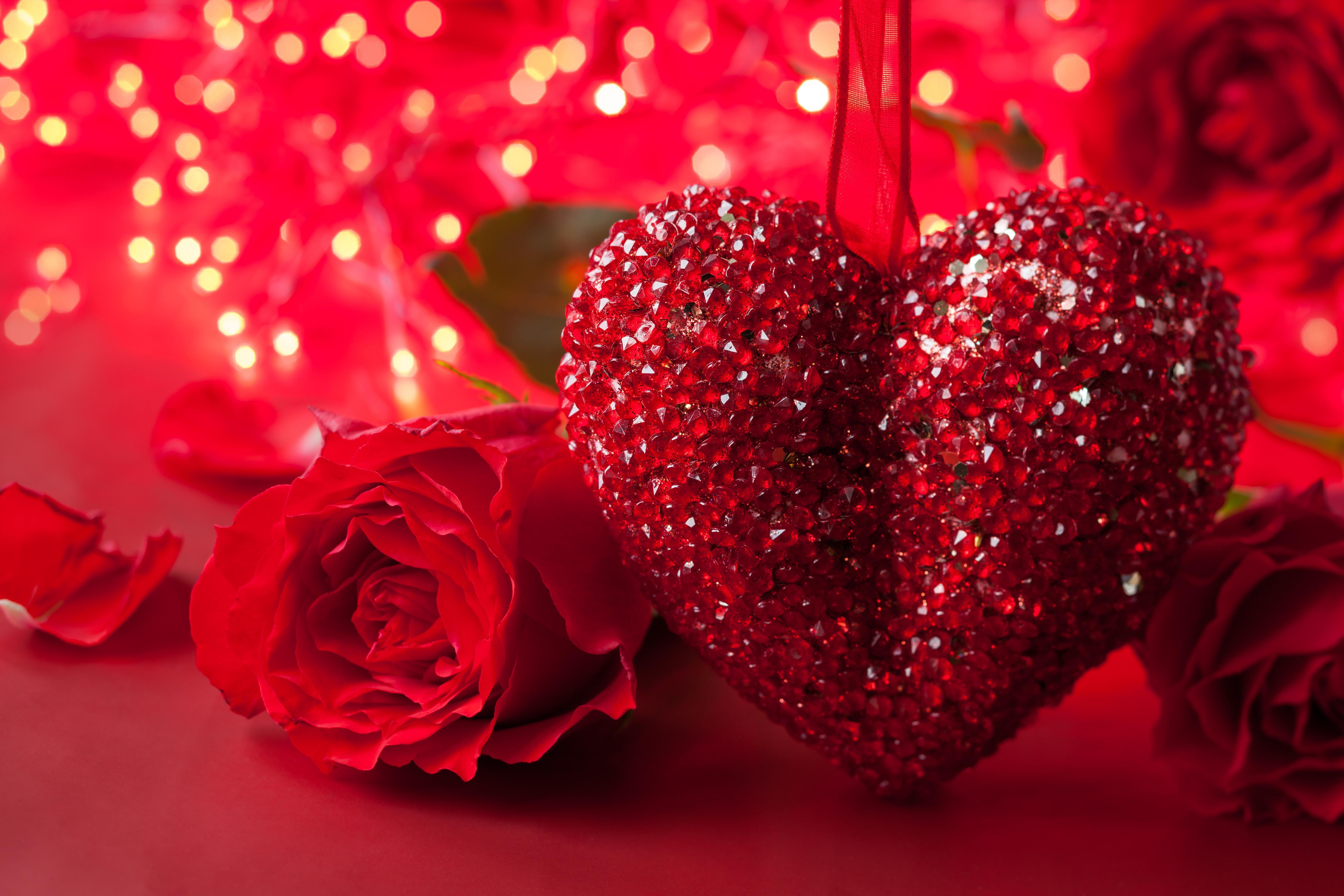 5616x3744 Rose With Heart Wallpaper
