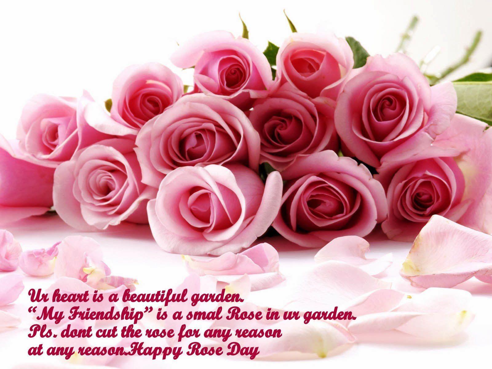 1600x1200 VALENTINES DAY mood love holiday valentine rose roses