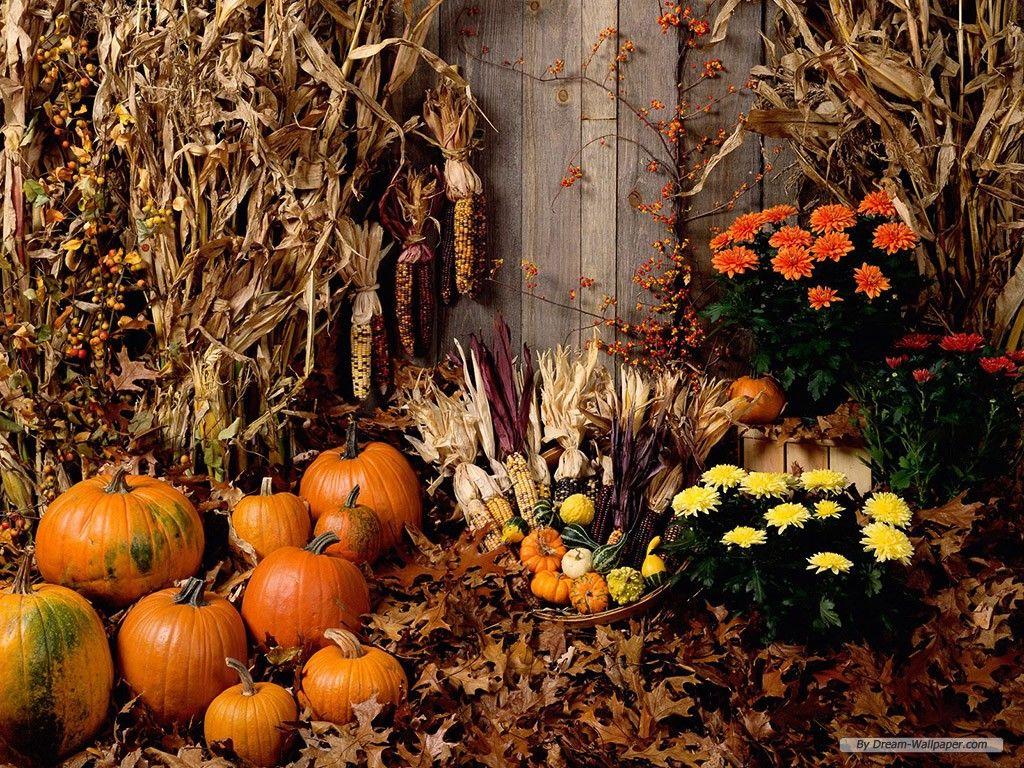 Thanksgiving Scenery Wallpapers Top Free Thanksgiving