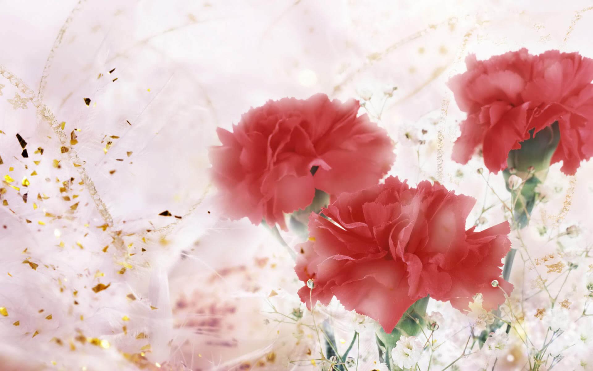 1920x1200 Gifts Flowers Valentine Desktop Background Pc