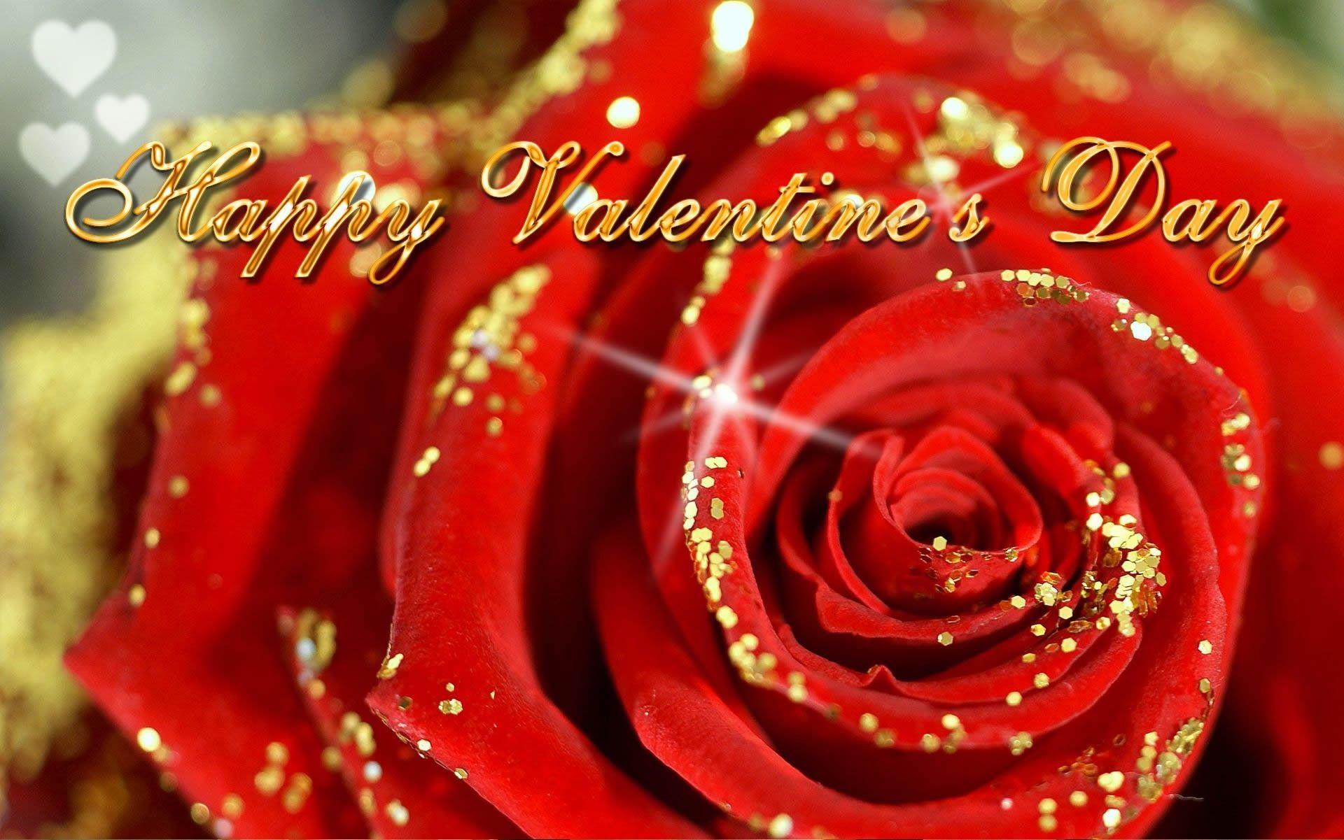 1920x1201 Happy Valentine Roses Wallpaper