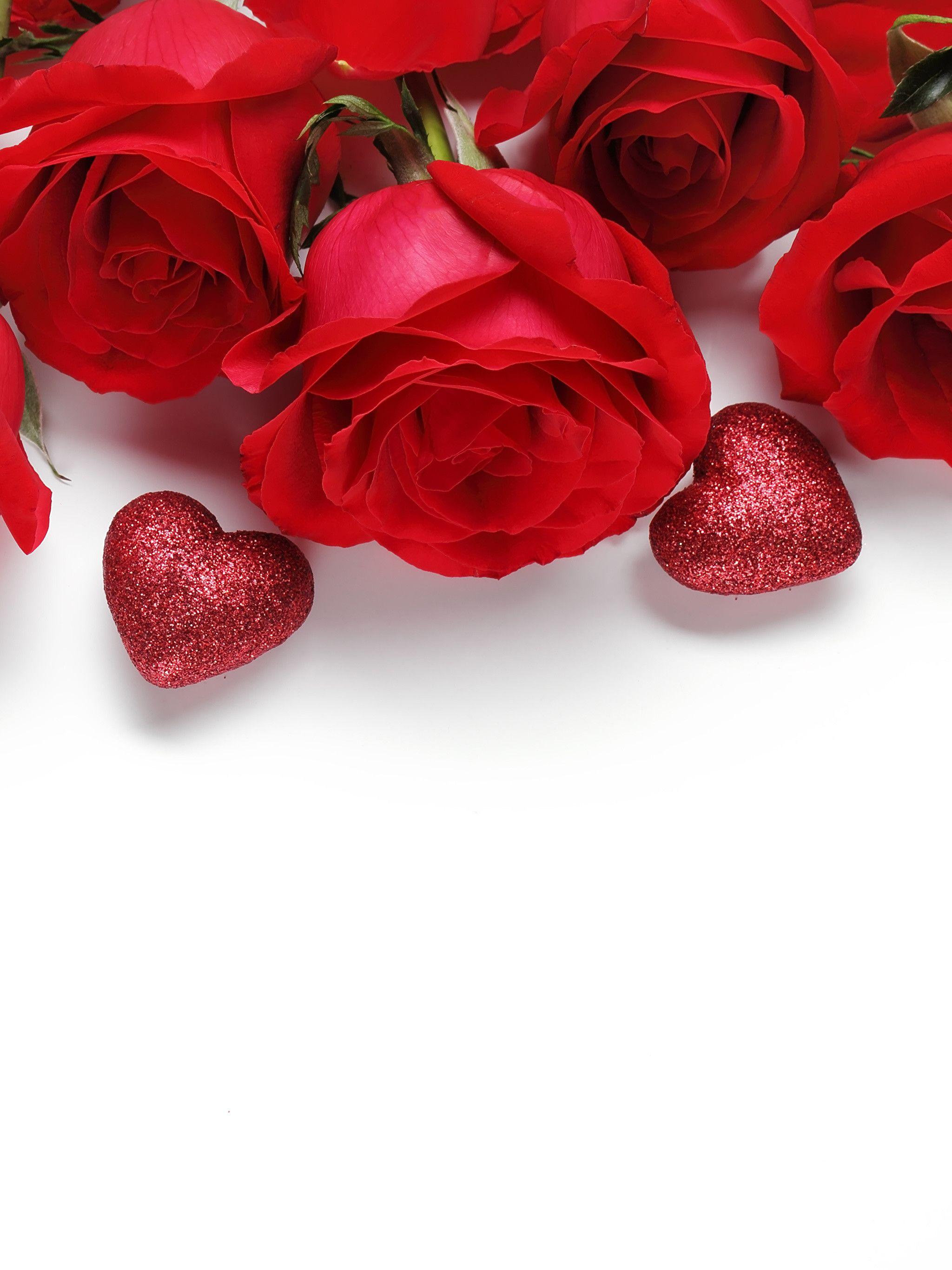 Valentine Flowers Wallpapers Top Free Valentine Flowers Backgrounds