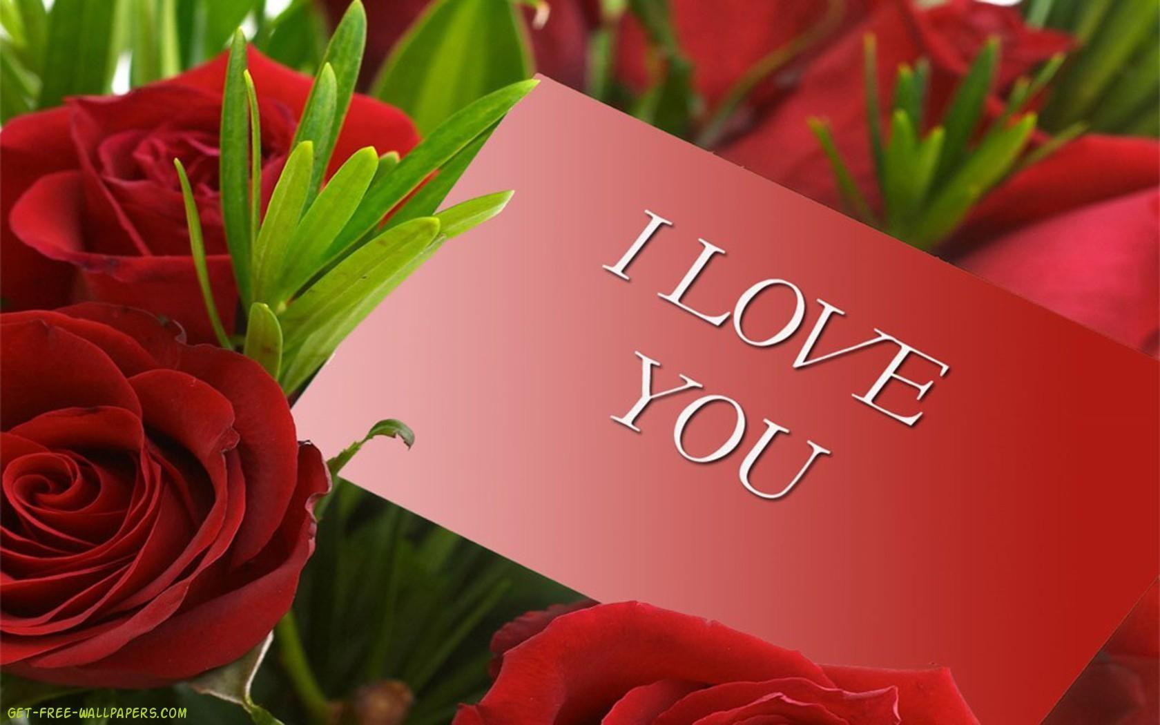1680x1050 Roses Roses Wallpaper HD Wallpaper. Flowers Wallpaper
