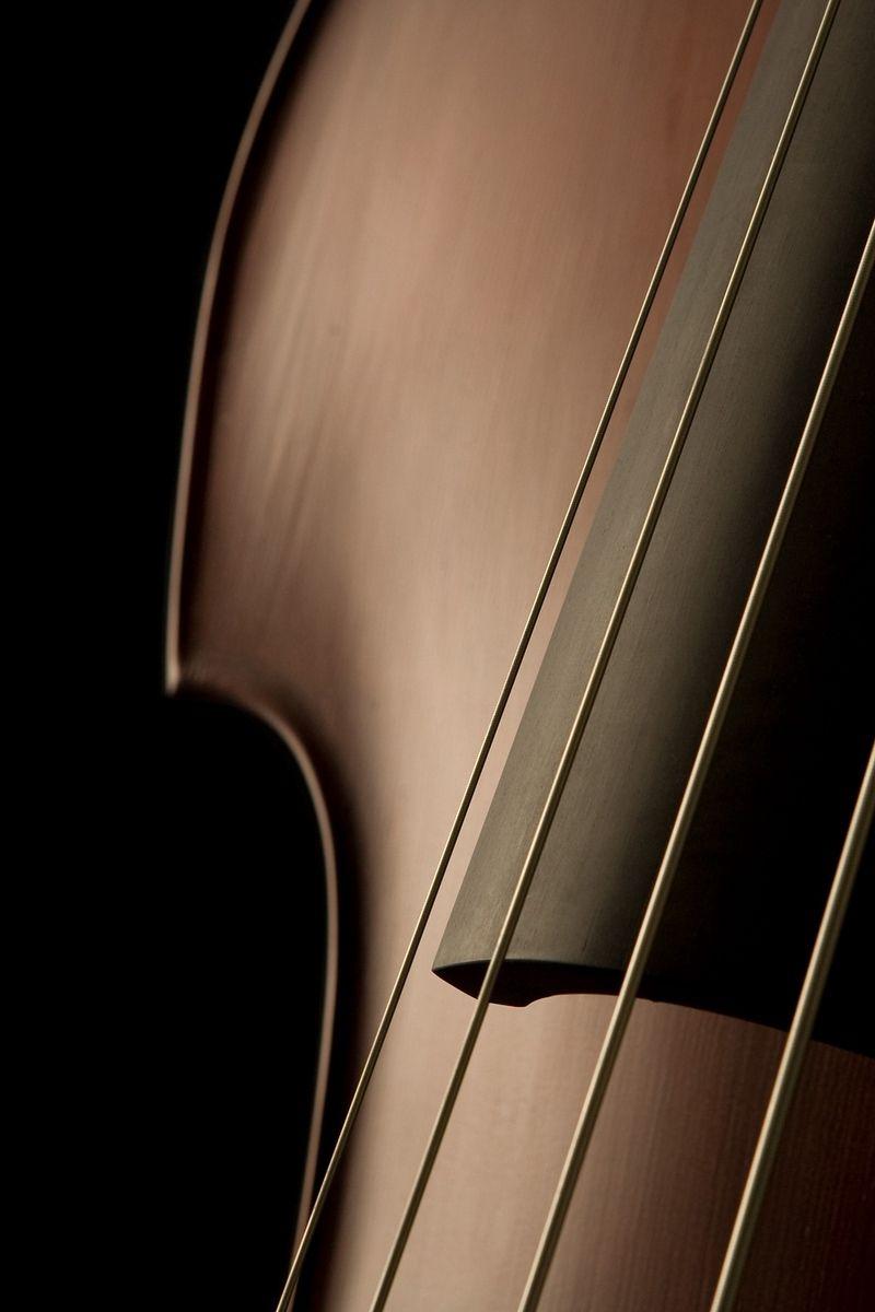 800x1200 Download wallpaper 800x1200 violin, shape, strings, elegant