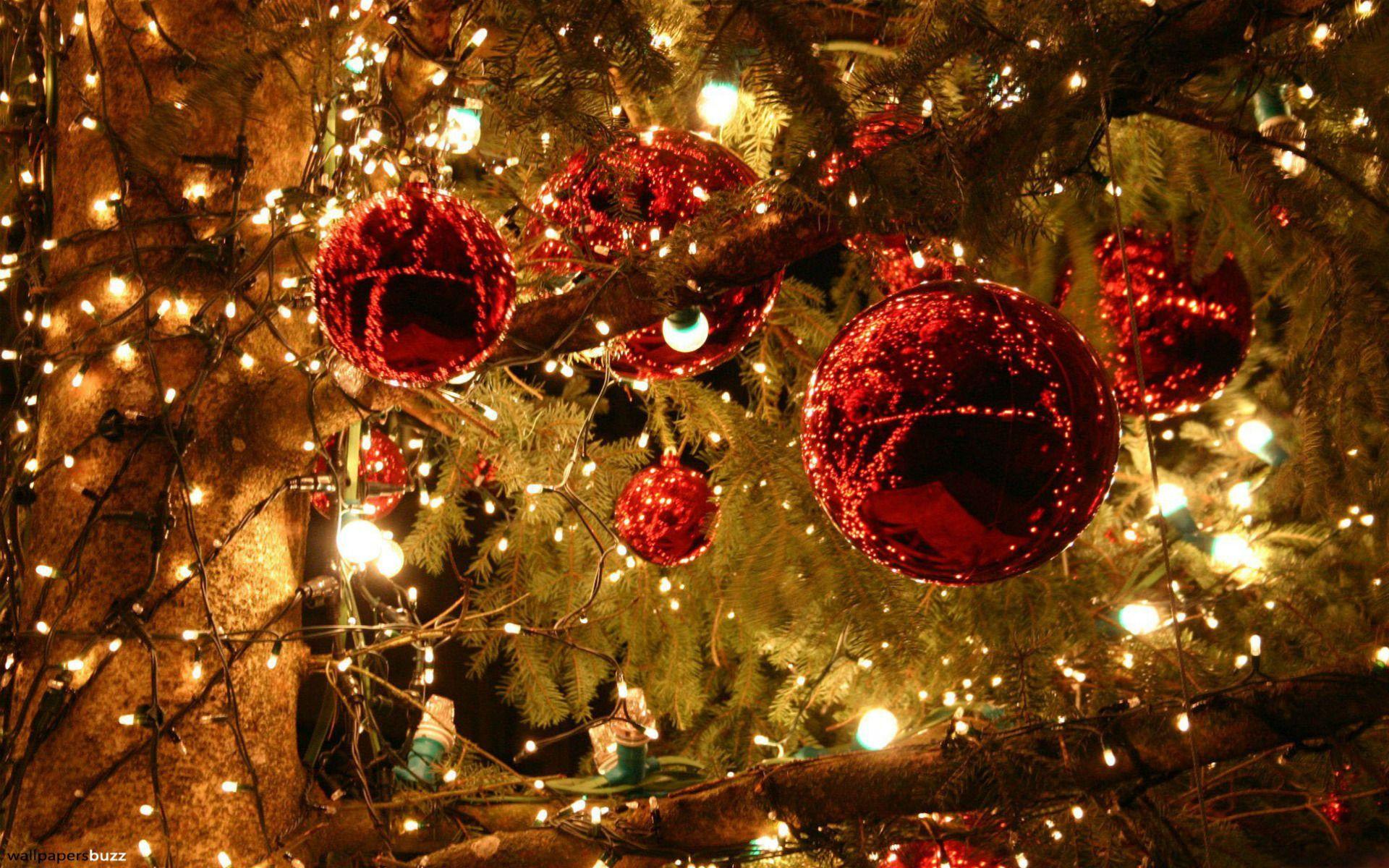 High Resolution Christmas Wallpapers Top Free High Resolution Christmas Backgrounds