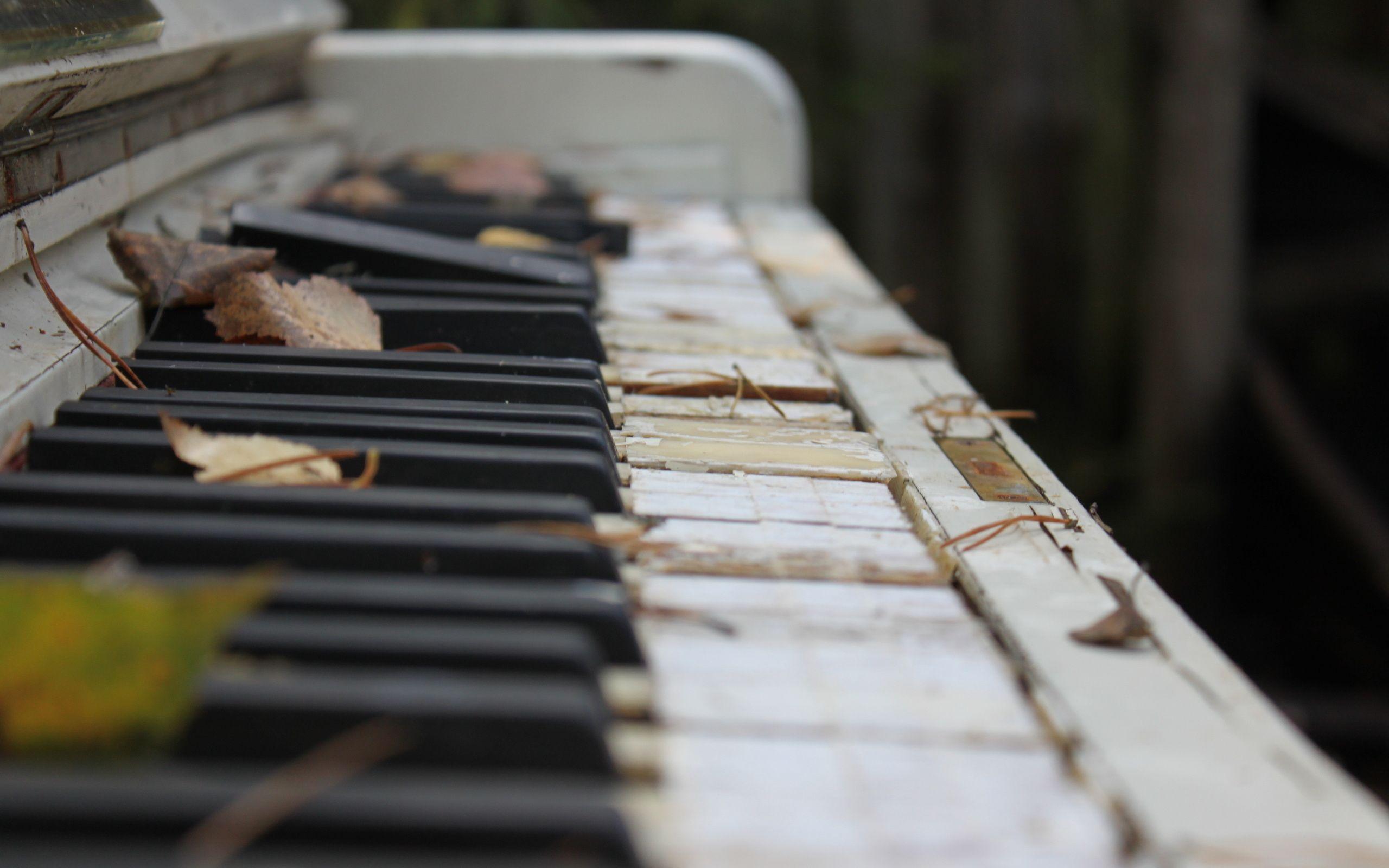 2560x1600 Piano HD Wallpaper and Background Image