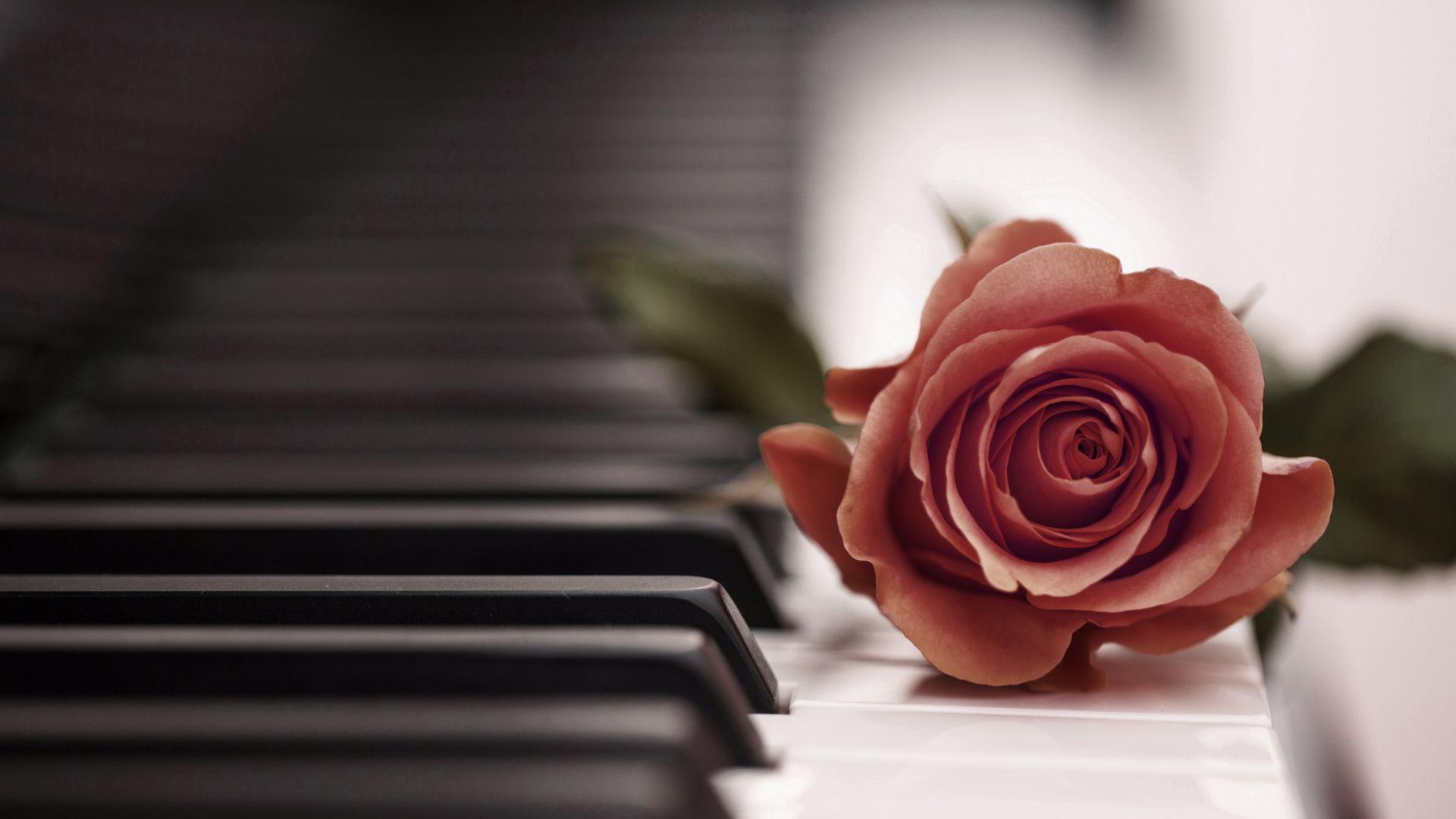 Piano Wallpapers - Top Free Piano Backgrounds - WallpaperAccess