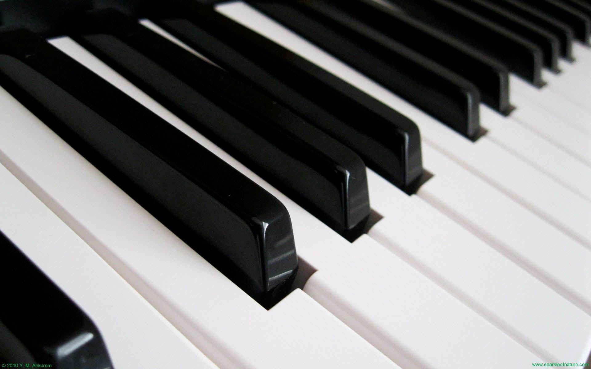 1920x1200 Piano Keys Wallpaper