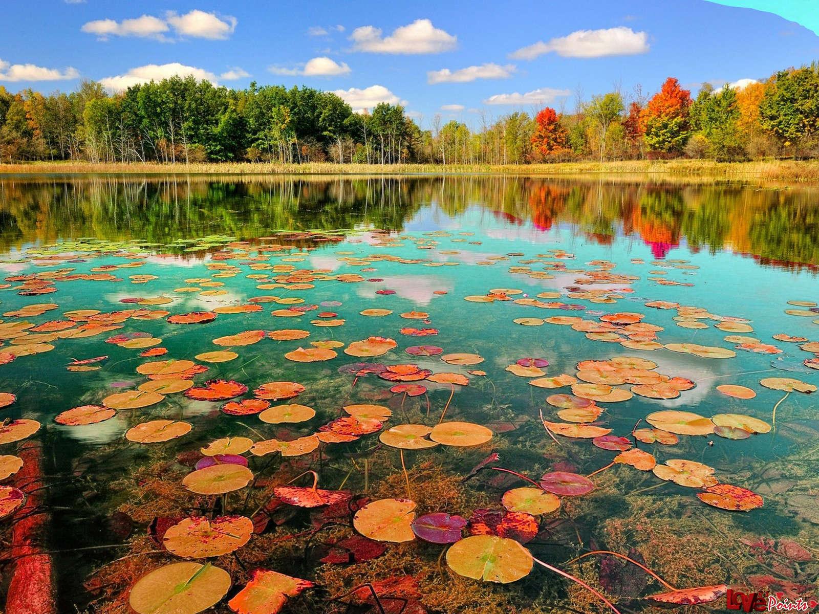Beautiful Nature Wallpapers - Top Free Beautiful Nature Backgrounds -  WallpaperAccess