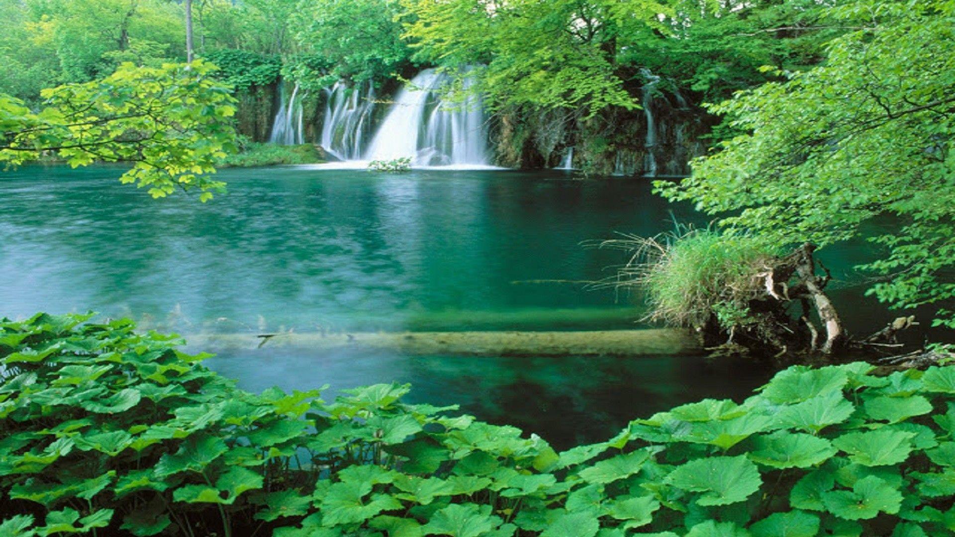 Nature Scenes Wallpapers Top Free Nature Scenes Backgrounds 