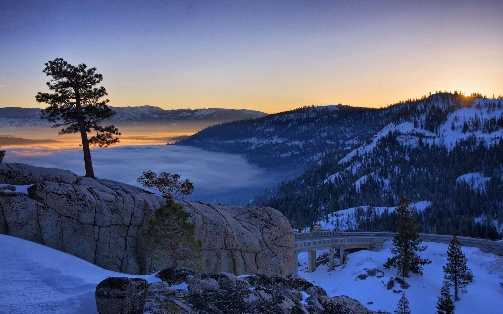 1920x1200 Free Winter Sun Wallpaper