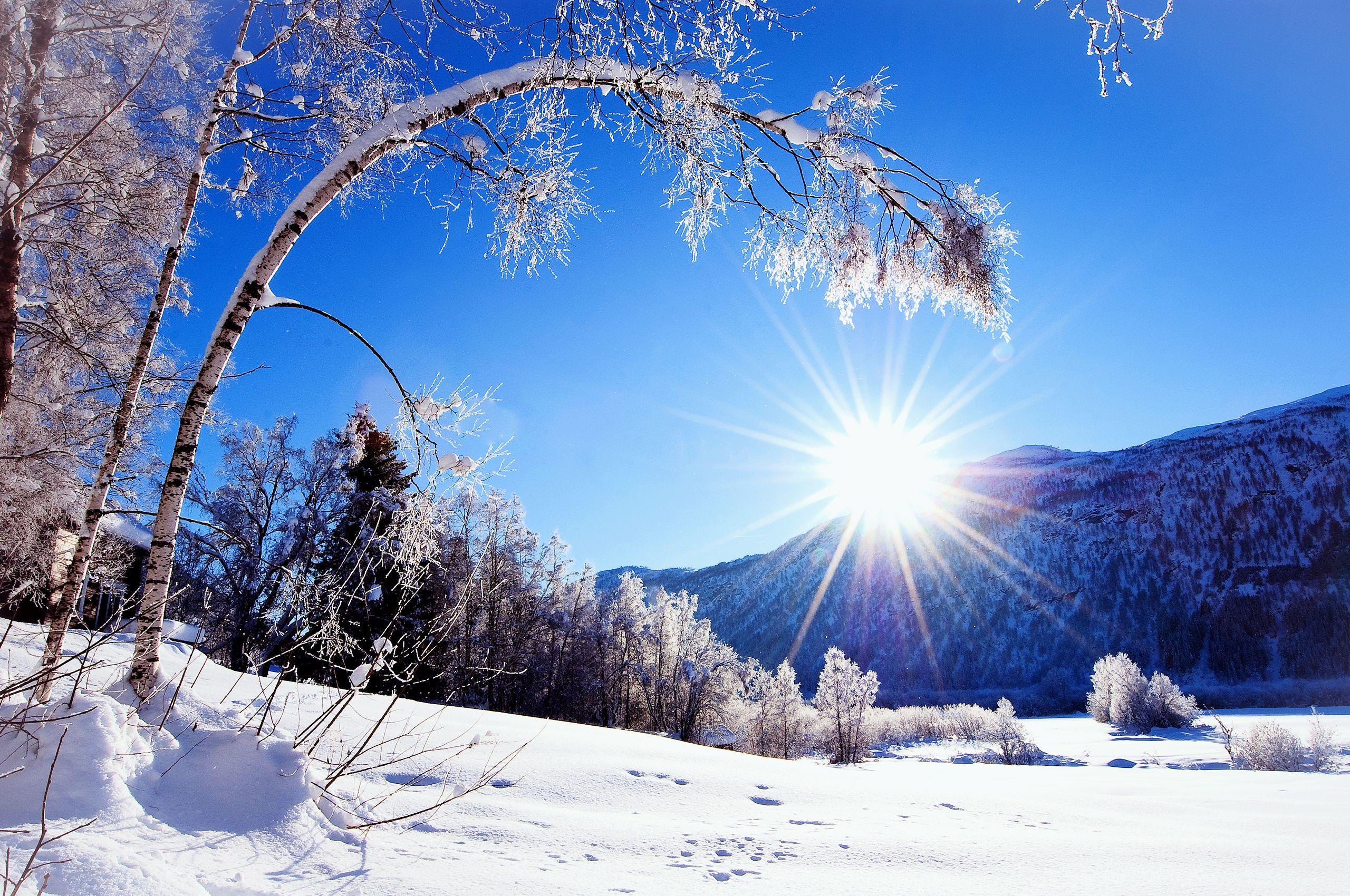 2560x1700 Winter Snow HD Wallpaper