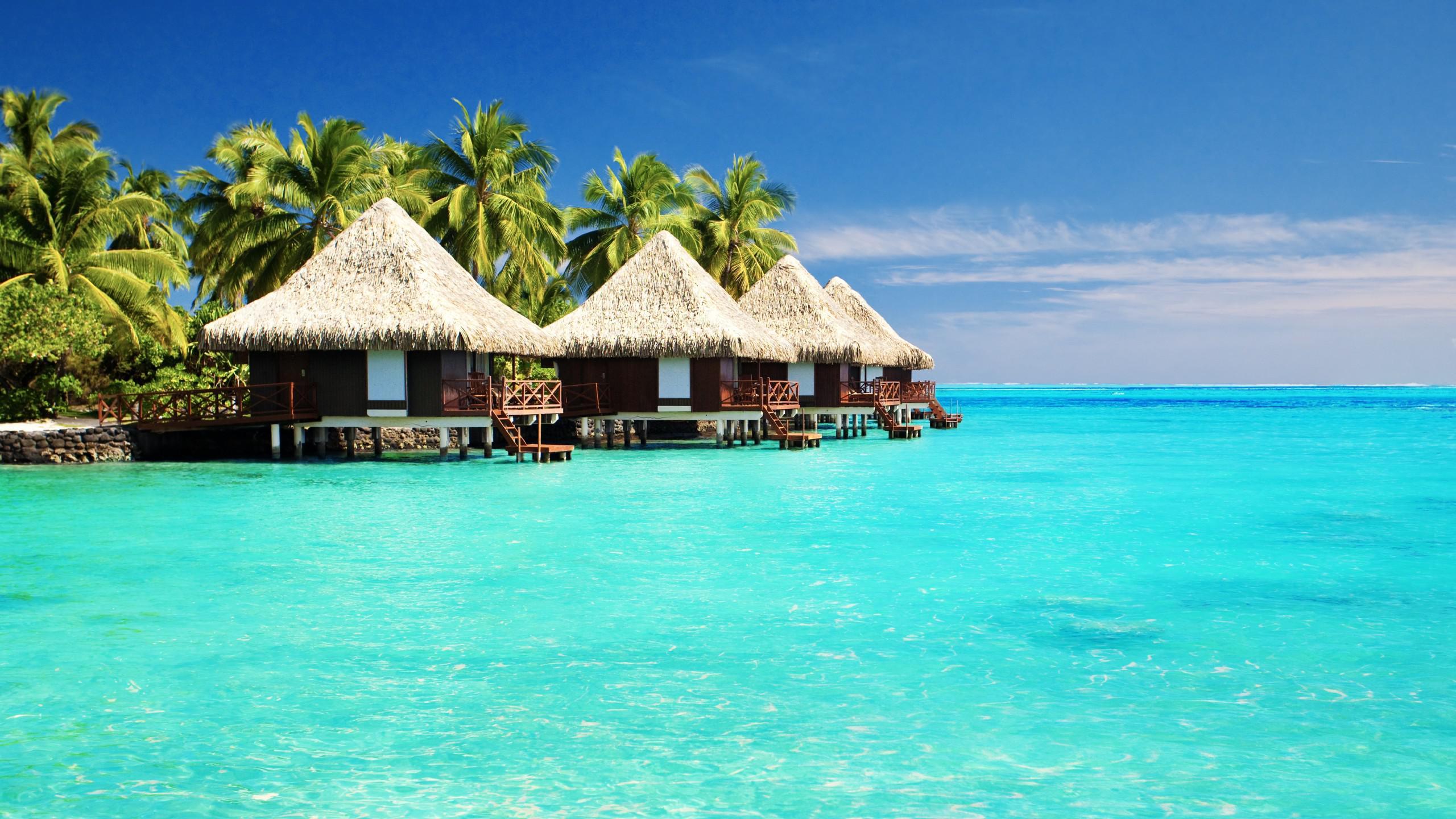 2560x1440 Full HD Nature Wallpaper Ocean Tropical Free Wallpaper