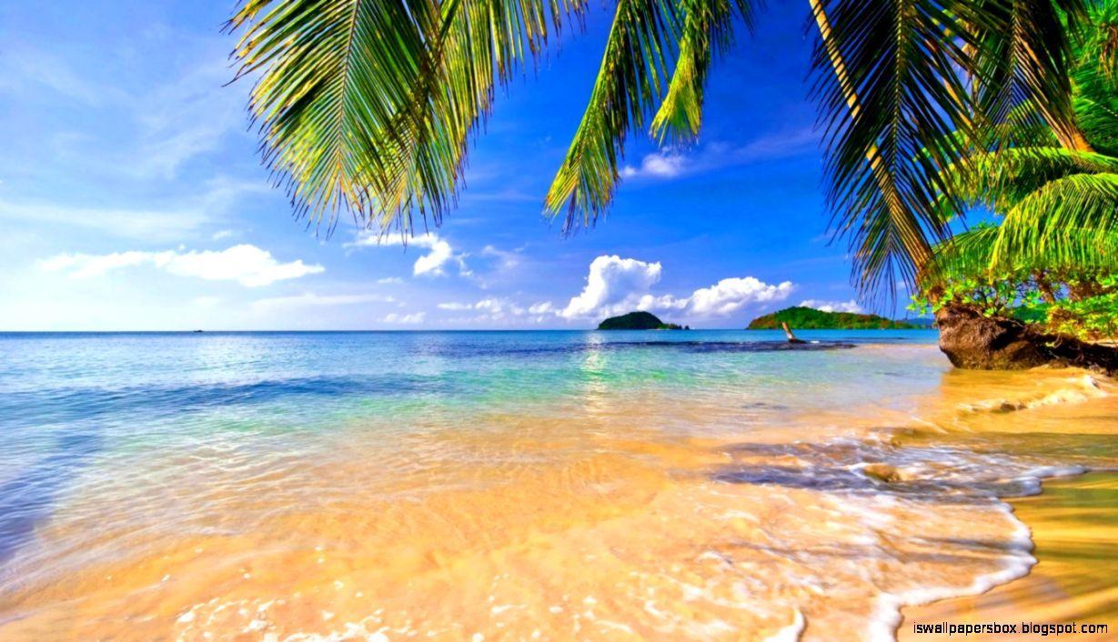 1229x706 Nature Wallpaper Tropical Beach HD Wallpaper